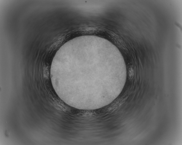 X0000095121204200801041215