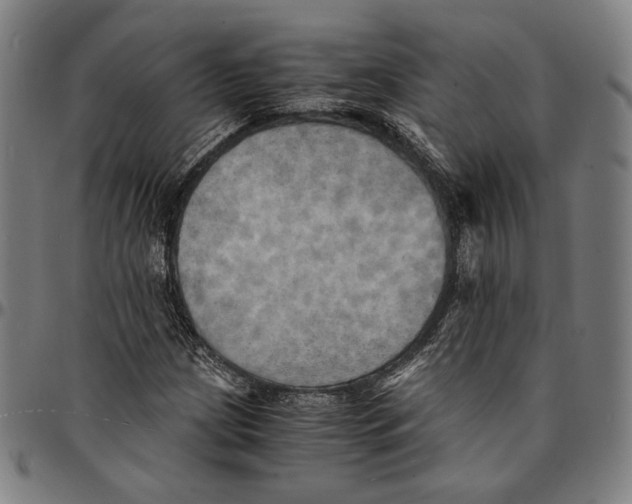 X0000095121209200801041215