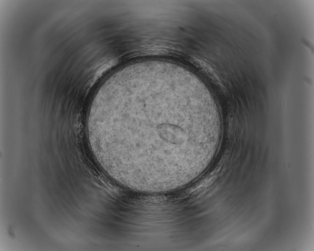 X0000095121210200801041215