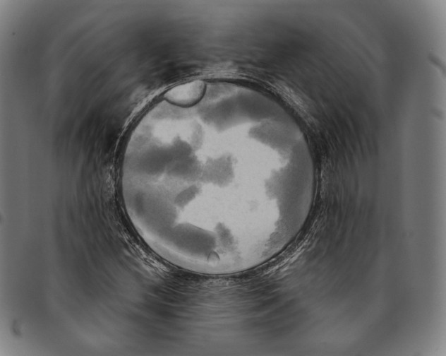 X0000095121212200801041215