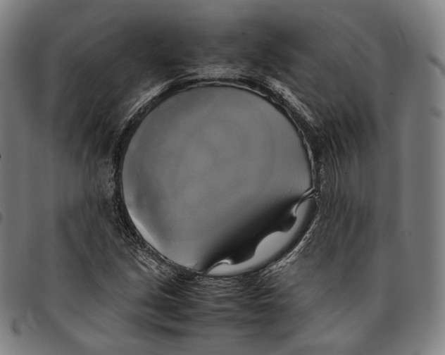 X0000095121213200801041215