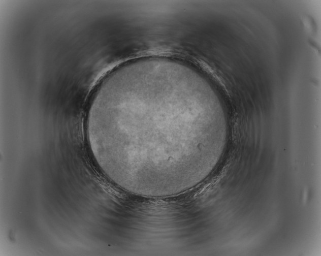 X0000095121214200801041215