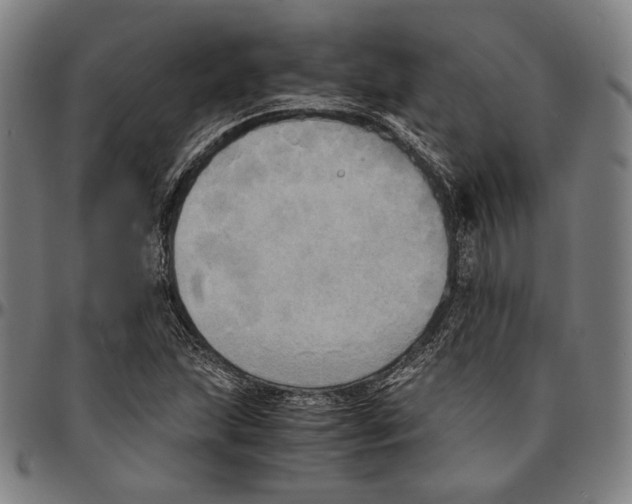 X0000095121215200801041215