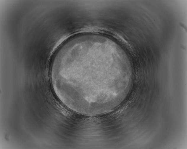 X0000095121216200801041215