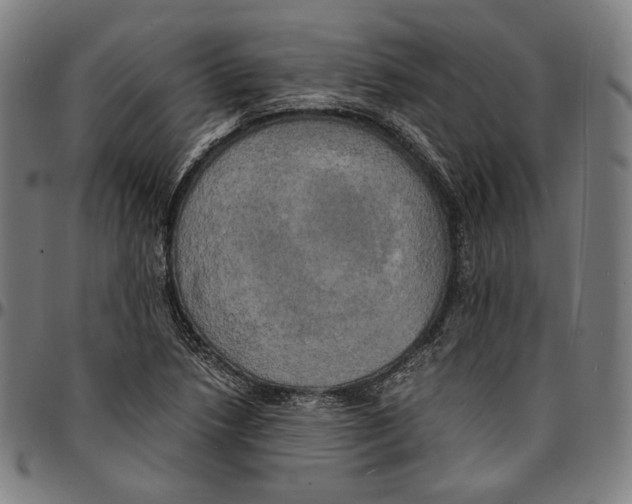 X0000095121218200801041216