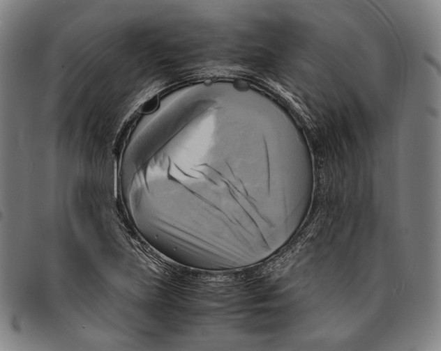 X0000095121219200801041216