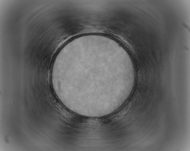 X0000095121220200801041216