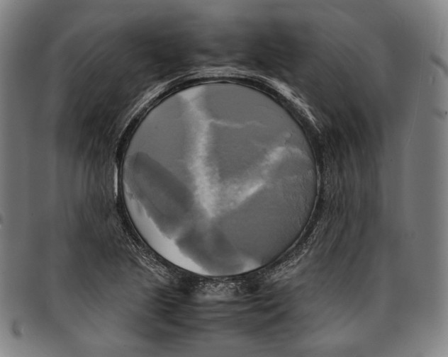 X0000095121221200801041216