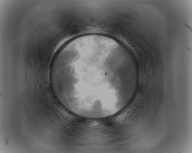 X0000095121222200801041216