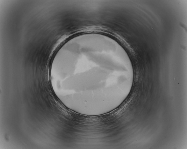 X0000095121224200801041216