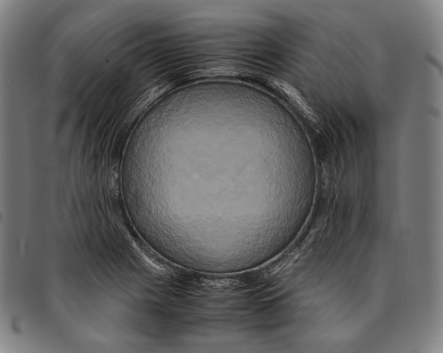 X0000095121225200801041216