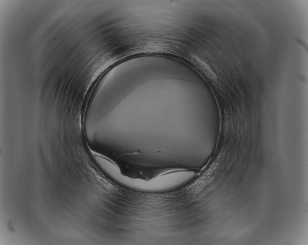 X0000095121226200801041216