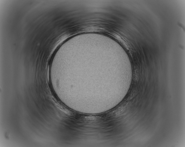 X0000095121227200801041216