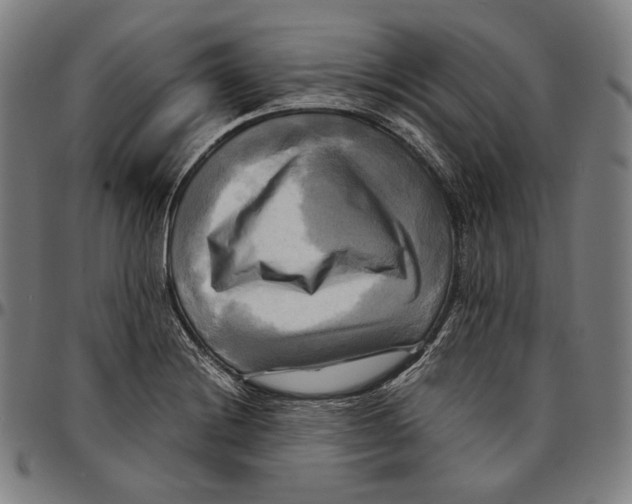 X0000095121228200801041216