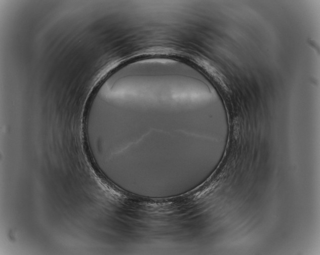 X0000095121229200801041216