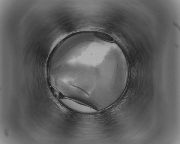 X0000095121230200801041216