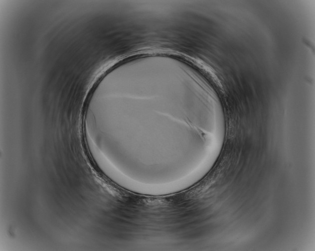 X0000095121231200801041216