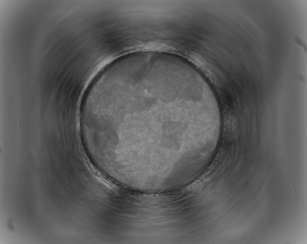 X0000095121232200801041216