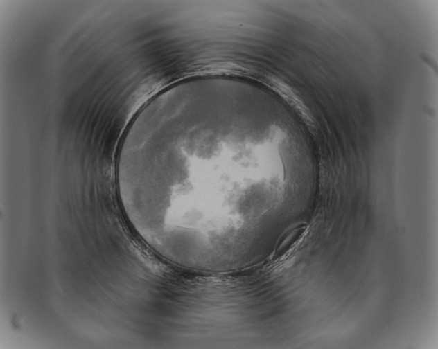 X0000095121234200801041216