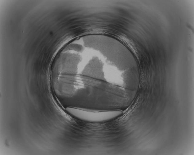 X0000095121235200801041216