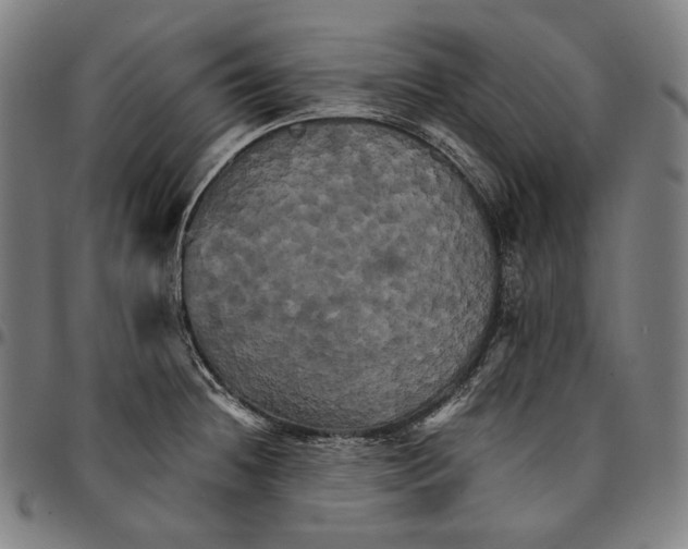 X0000095121236200801041216