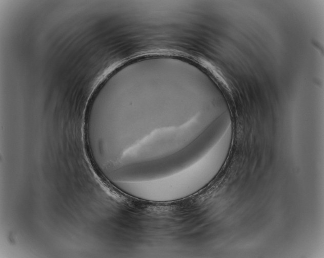 X0000095121237200801041216