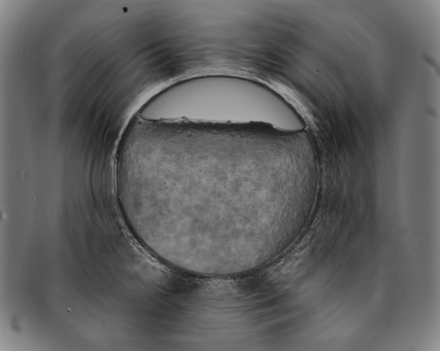 X0000095121238200801041216