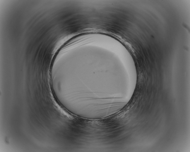 X0000095121239200801041216