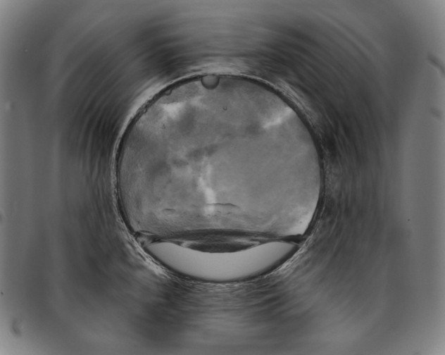 X0000095121240200801041216