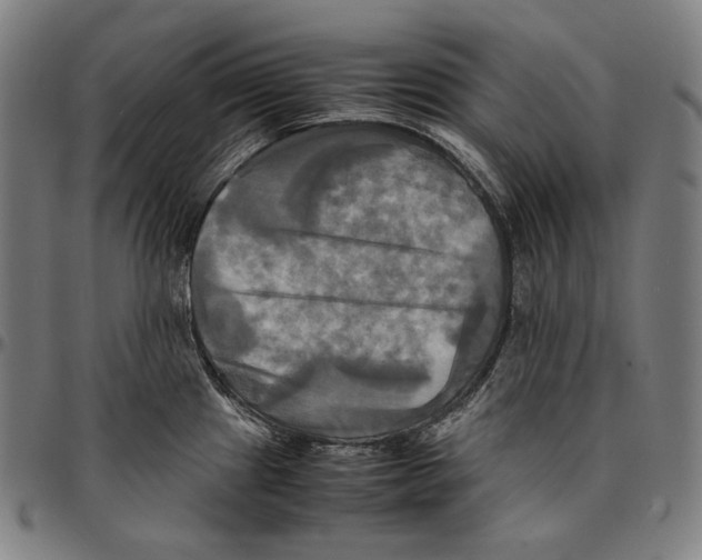 X0000095121241200801041216