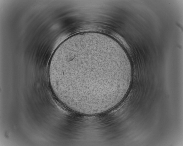 X0000095121242200801041216