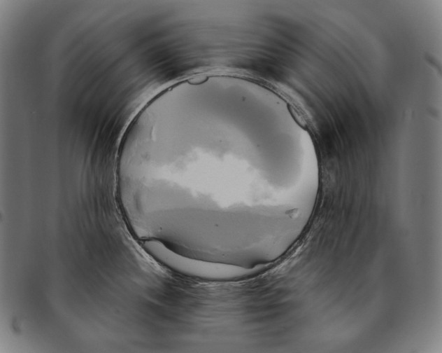 X0000095121244200801041216