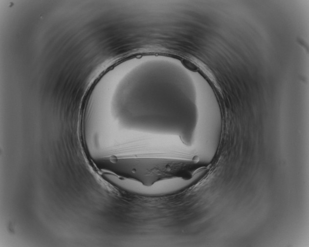 X0000095121245200801041216