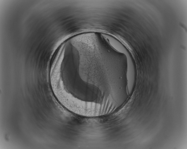 X0000095121246200801041216