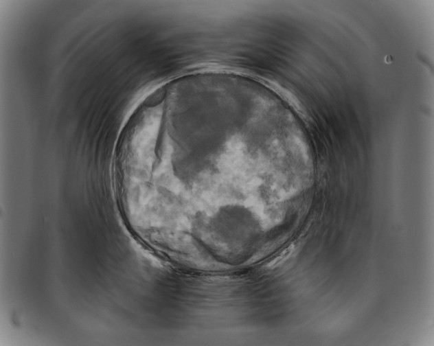 X0000095121247200801041216