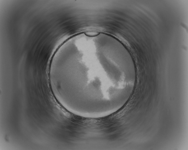 X0000095121248200801041216