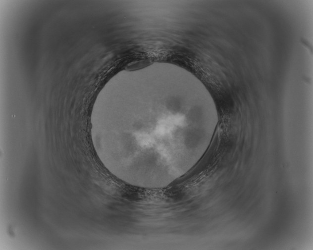 X0000095121249200801041215