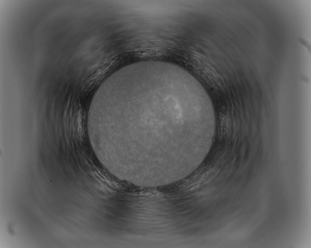 X0000095121250200801041215