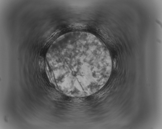 X0000095121251200801041215