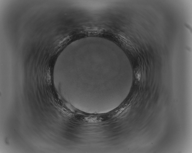 X0000095121252200801041215