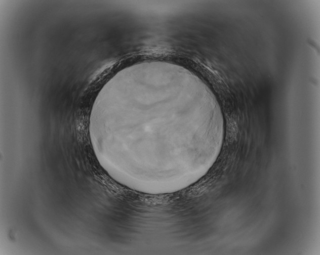 X0000095121254200801041215