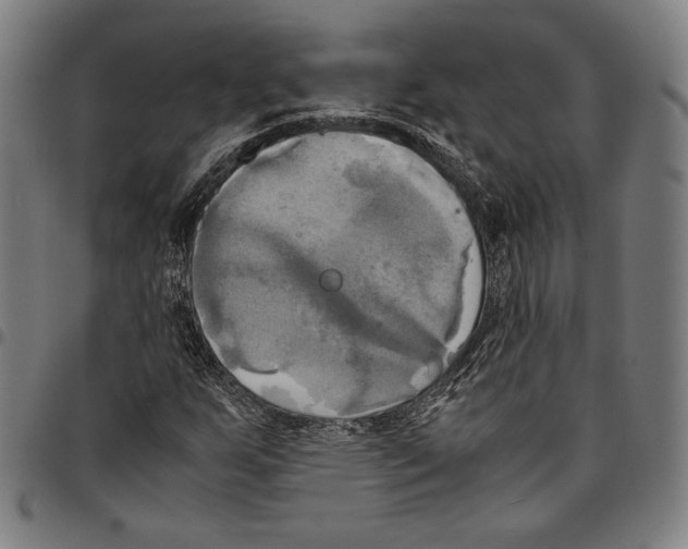 X0000095121255200801041215