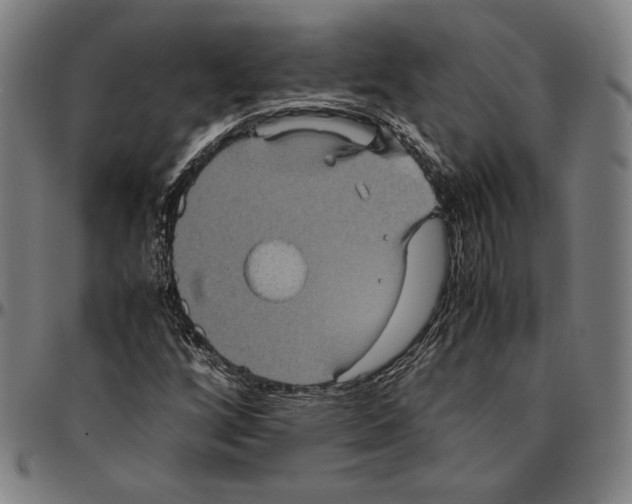 X0000095121256200801041215