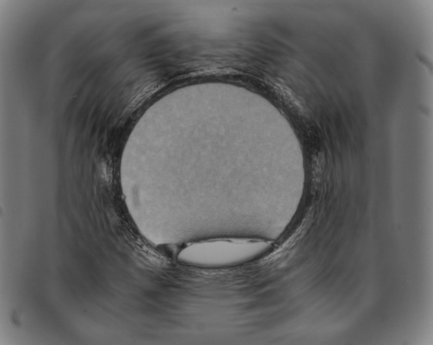 X0000095121257200801041215