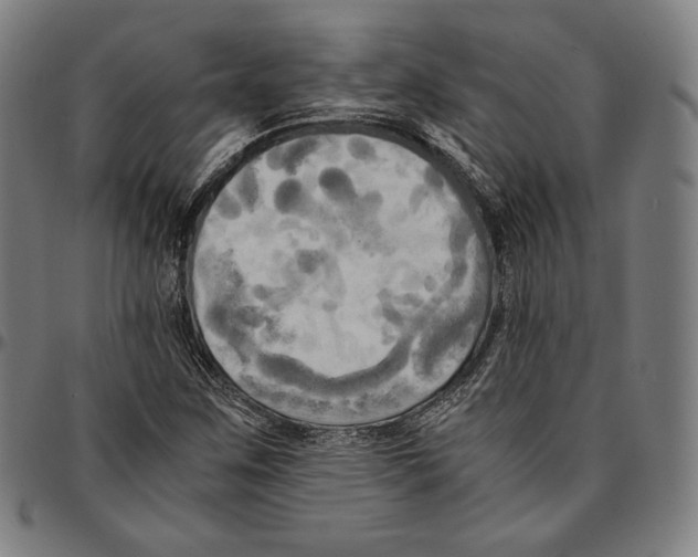 X0000095121259200801041215