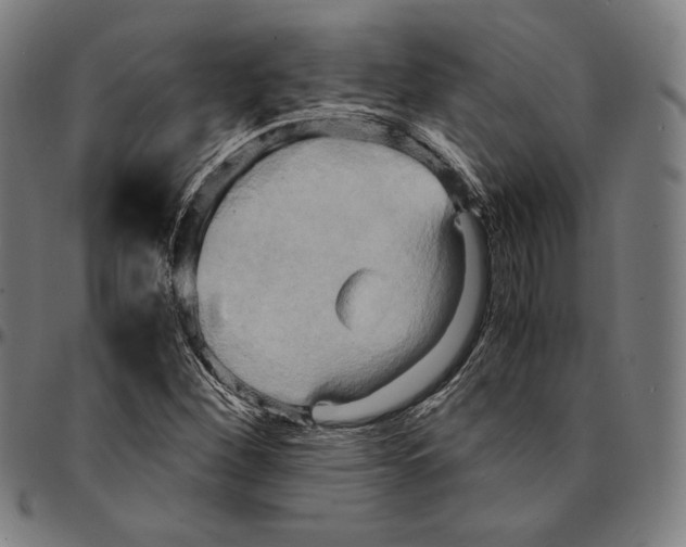 X0000095121260200801041215