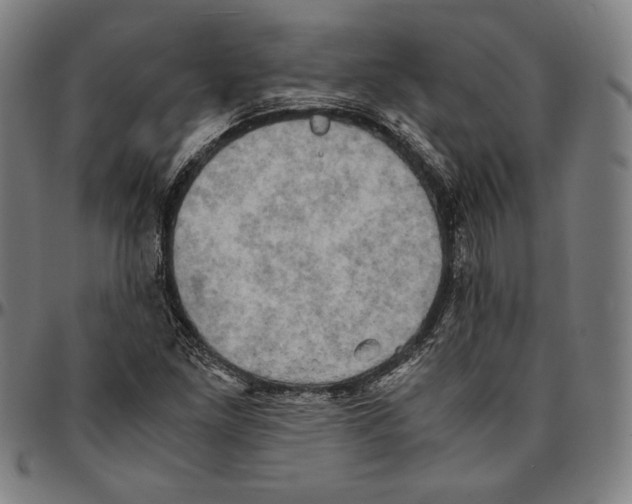 X0000095121261200801041215