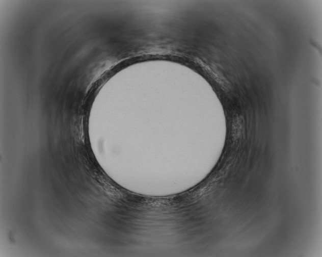 X0000095121262200801041215