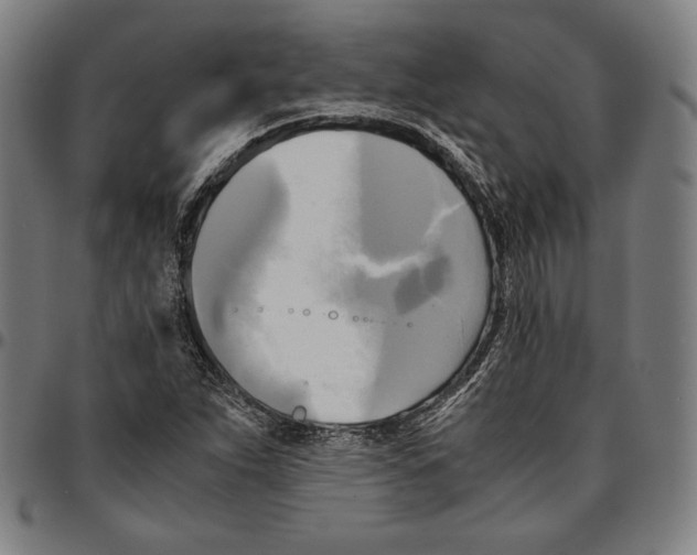 X0000095121263200801041215