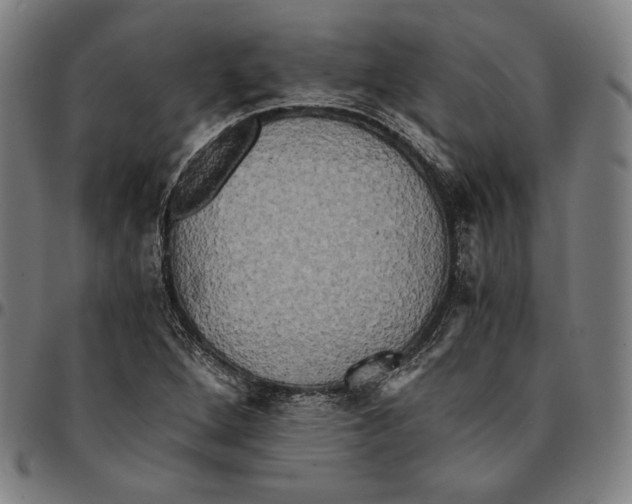 X0000095121264200801041215